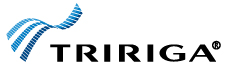 TRIRIGA Real Estate Environmental Sustainability (TREES)