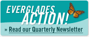 Everglades Action Newsletter