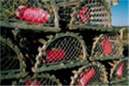 Commercial Fishing