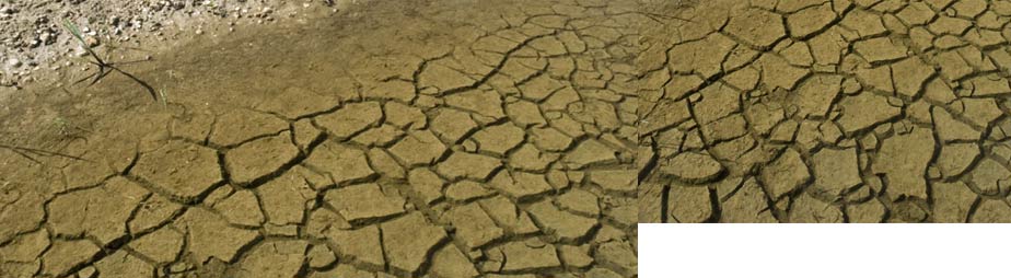 Effective use of land for water storage can benefit South Florida agriculture, business, environment and tourism.
