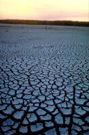 Support The River of Grass Coalition 