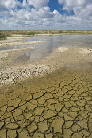 Support The River of Grass Coalition