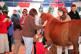 Pony Pavilion